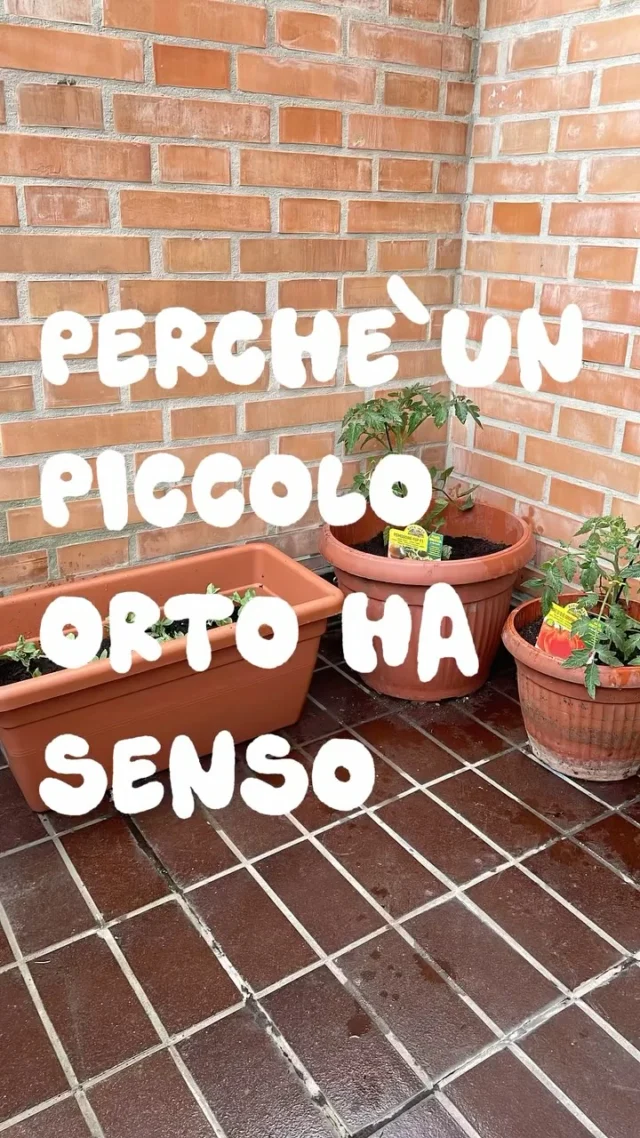 Sono anni che vogliamo fare l’orto e quest’anno abbiamo ridimensionato le aspettative, le abbiamo rese accessibili, e abbiamo iniziato!
Perché penso che dovreste provarci anche voi, ve lo dico qui.

È un progetto da fare insieme, e anche se richiede impegno è bello da portare avanti. 

Insegna a tutti il tempo dell’attesa e la pazienza, che troppo poco viene esercitata.

Per avere i risultati occorre prendersene cura.

Riconnette con la ciclicità della vita.

Dovendo fare una selezione ti porta a riflettere su cosa piace di più e quindi cosa piantare.

I bambini sono entusiasti! Non serve molto spazio e studiando un po’ ci sono piantine che possono crescere anche accanto ad una finestra luminosa, non aveste uno spazio esterno. 

Che dite, ci provate?