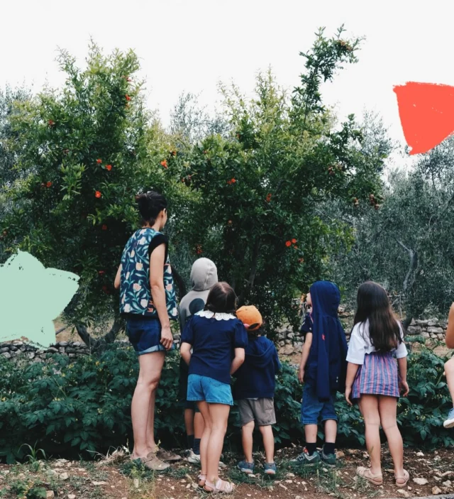 Guardare al cibo con meraviglia. 
Questo imparo dai bambini e dalle bambine ogni volta che porto loro un progetto.
Credo moltissimo nella forza di raccontare il cibo in tutta la sua vita. Come nasce? Che viaggio fa? Come arriva nei piatti in tavola? Ascoltare i pensieri dei bimbi aiuta a guardare il mondo con occhi nuovi.
Io provo a portare loro leggerezza e curiosità, loro regalano a me mondi inaspettati.

Non facciamo l’errore di presupporre, se li lasciamo liberi di esprimersi e sperimentare, sin dai primi pasti, ci stupiranno.
#foodeducationforkids #foodgraphicdesign #ilcibochecomunica